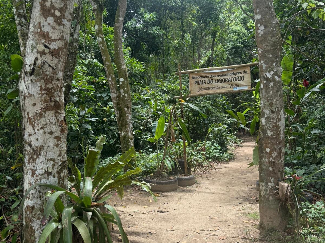 Rio Litoral Tour-安格拉杜斯雷斯必去景点