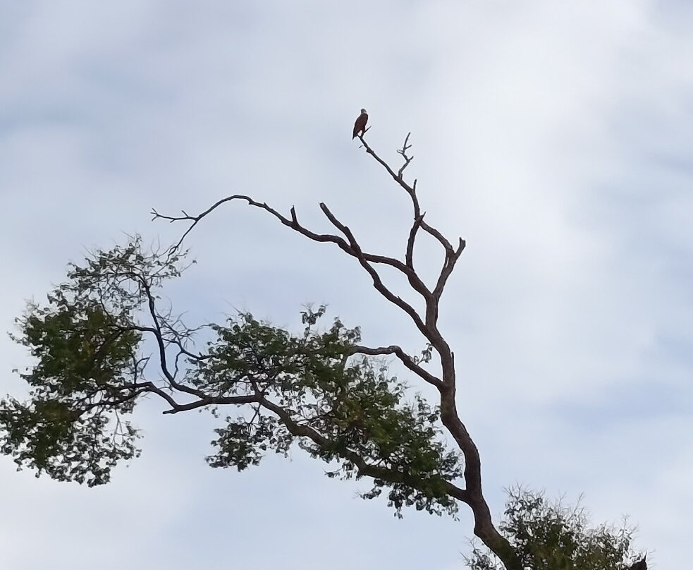Mekong Ramsar Trail-Stung Treng必去景点