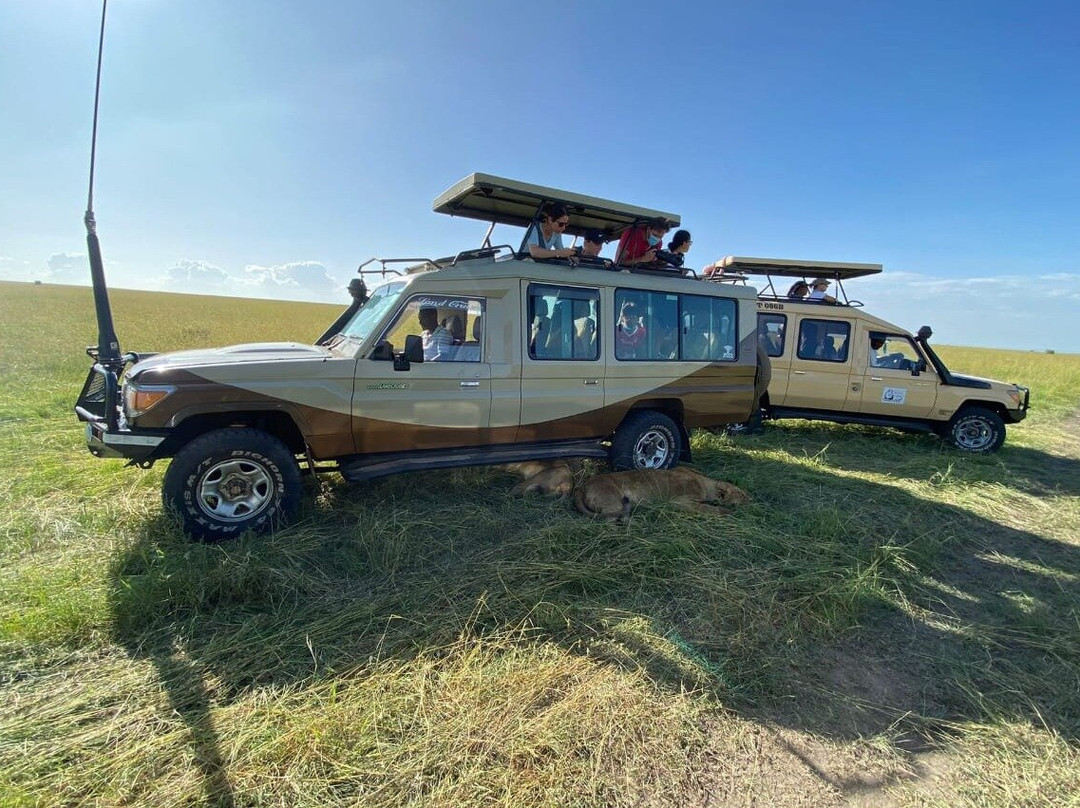 Constance Adventures