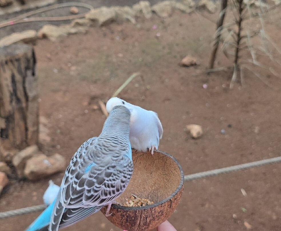 Krazy World Zoo-Algoz必去景点