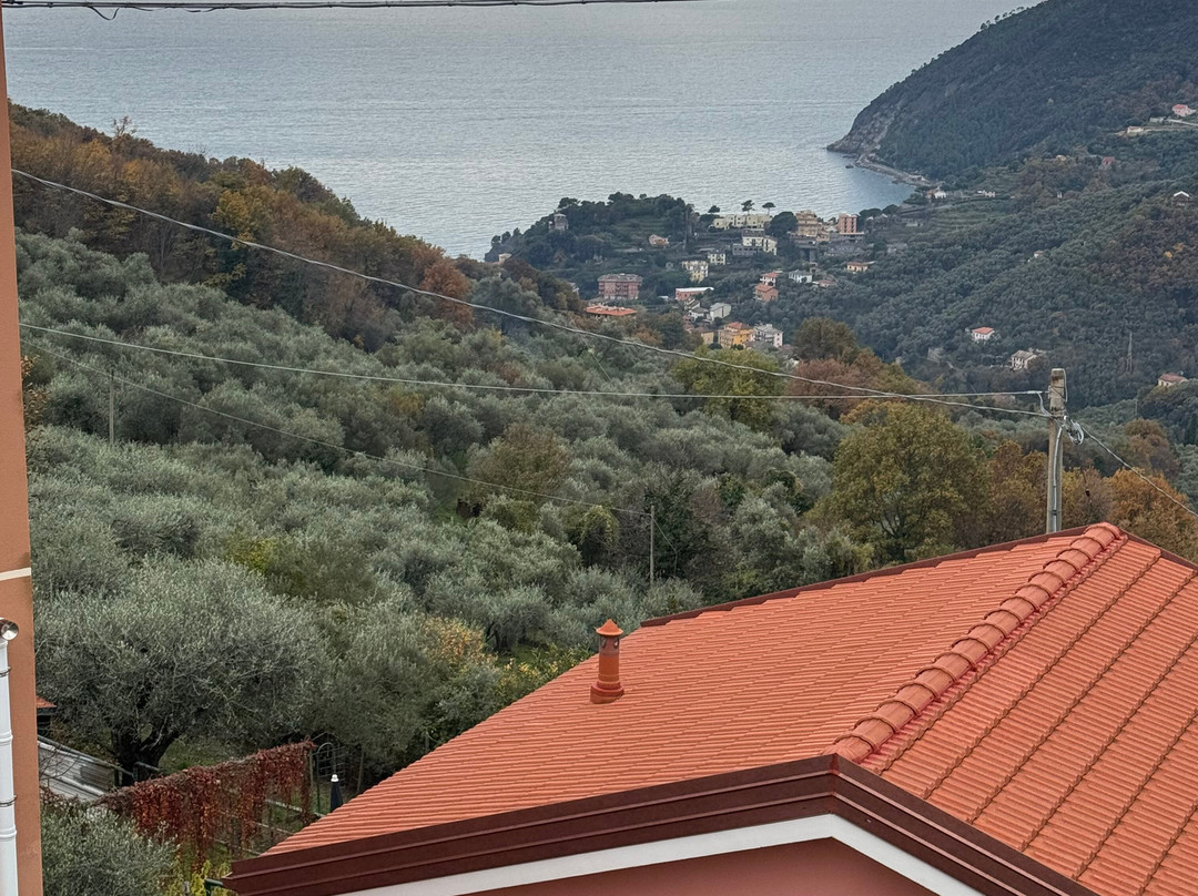 B&B Ca di Bollo主图