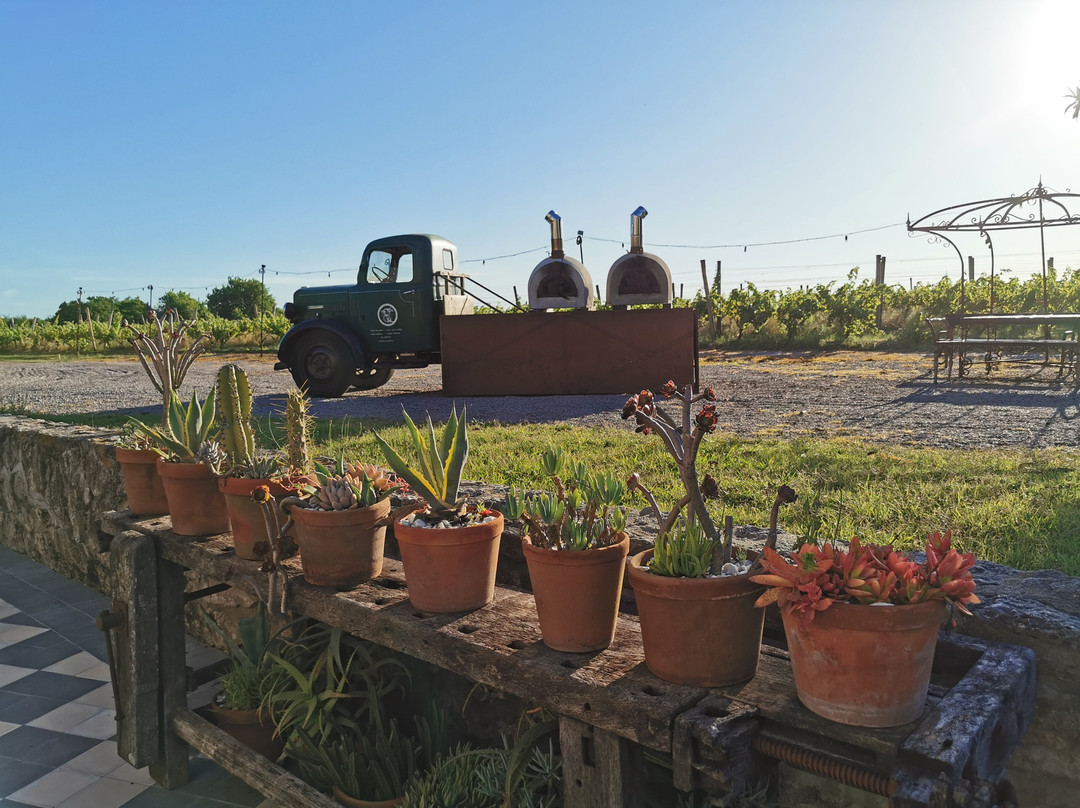 Narbona Wine Lodge主图