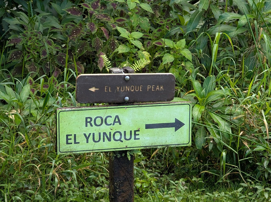 Beep Beep Jeep-圣胡安必去景点