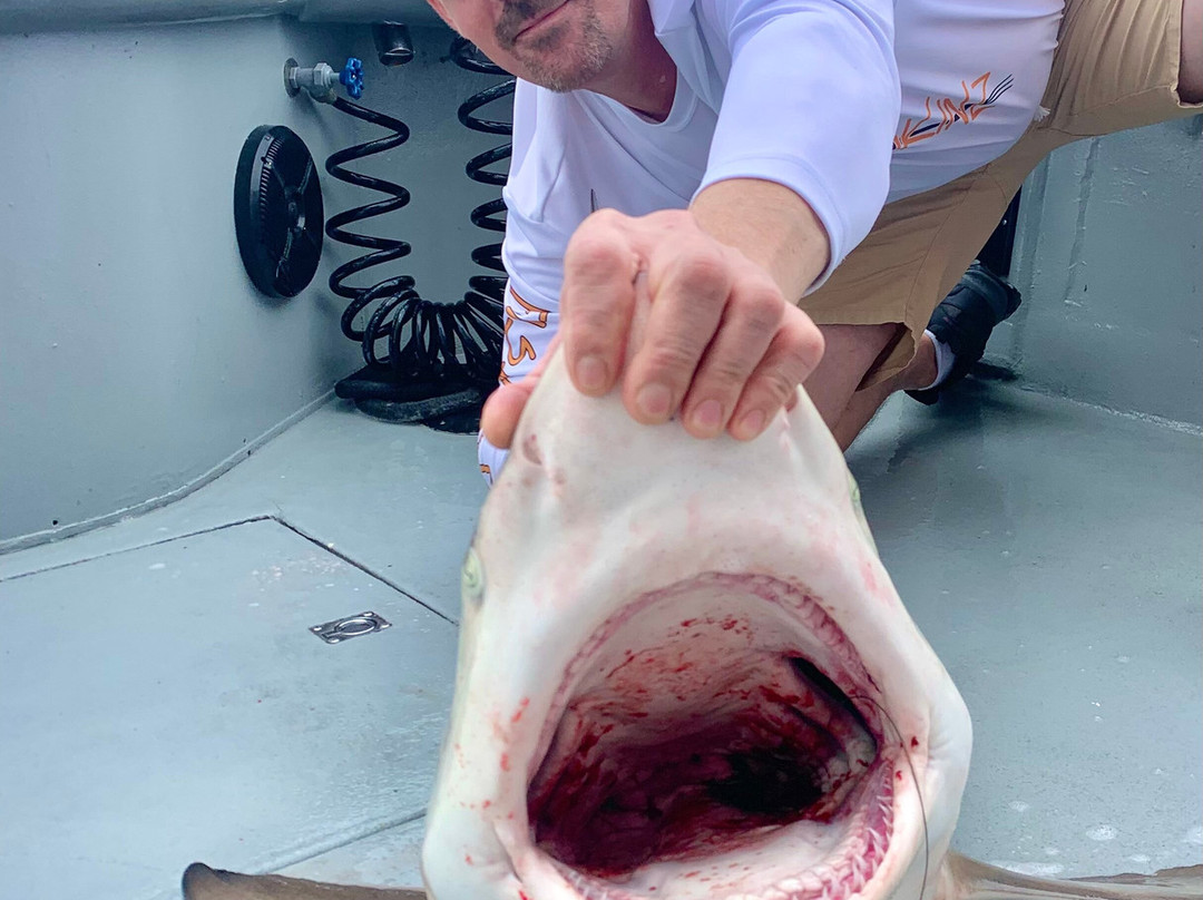 Fired Up Fishing Charters-卡纳维拉尔港必去景点