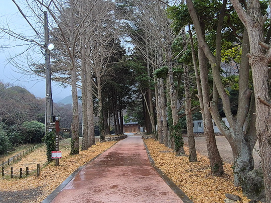 Jindo Ssanggyesa Temple-珍岛郡必去景点