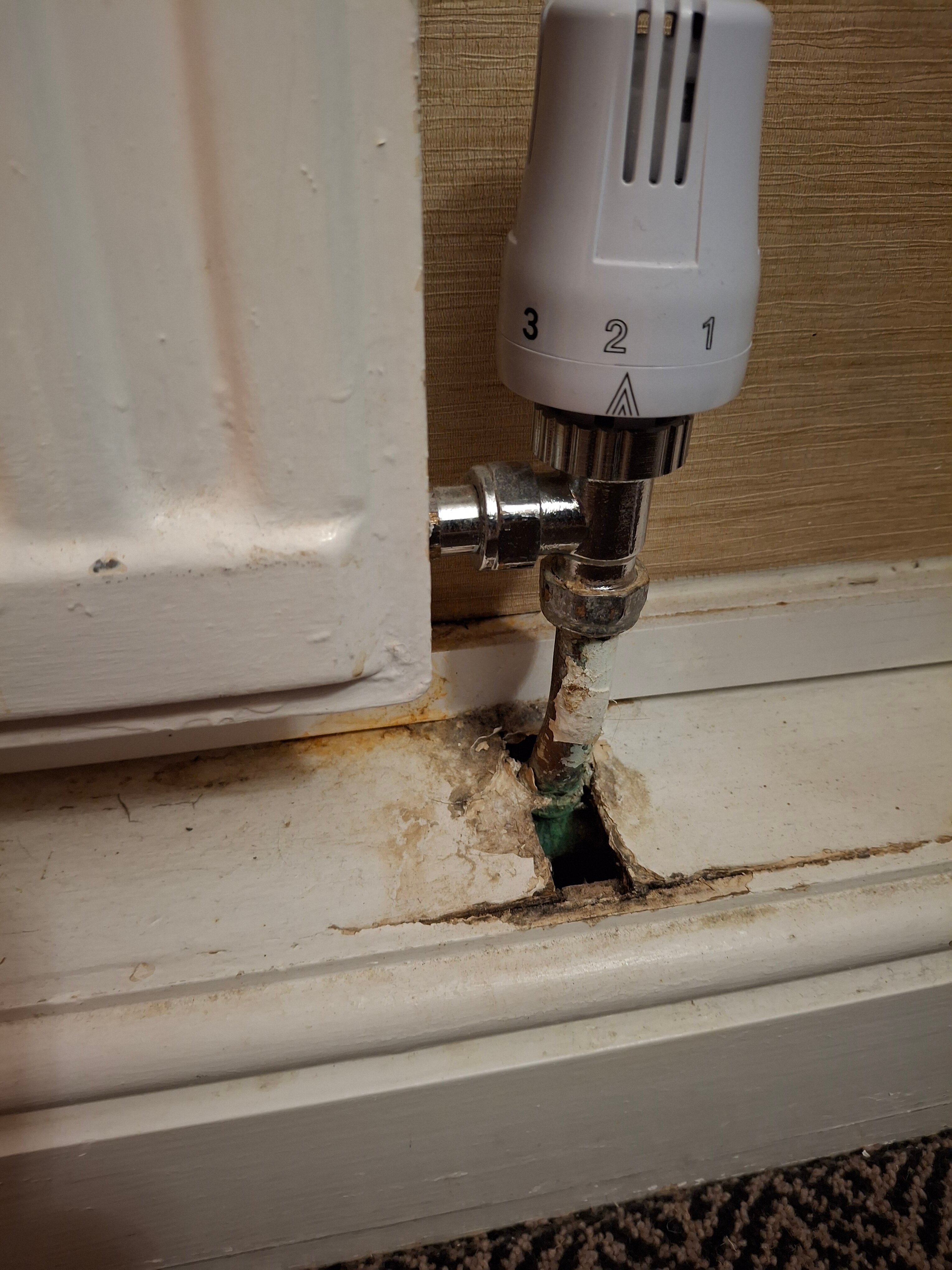 Best Western Moore Place Hotel-客卧