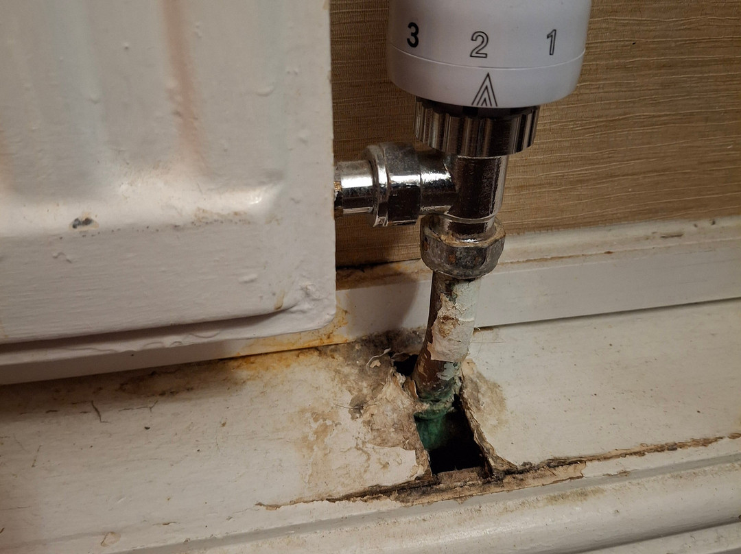 Best Western Moore Place Hotel主图