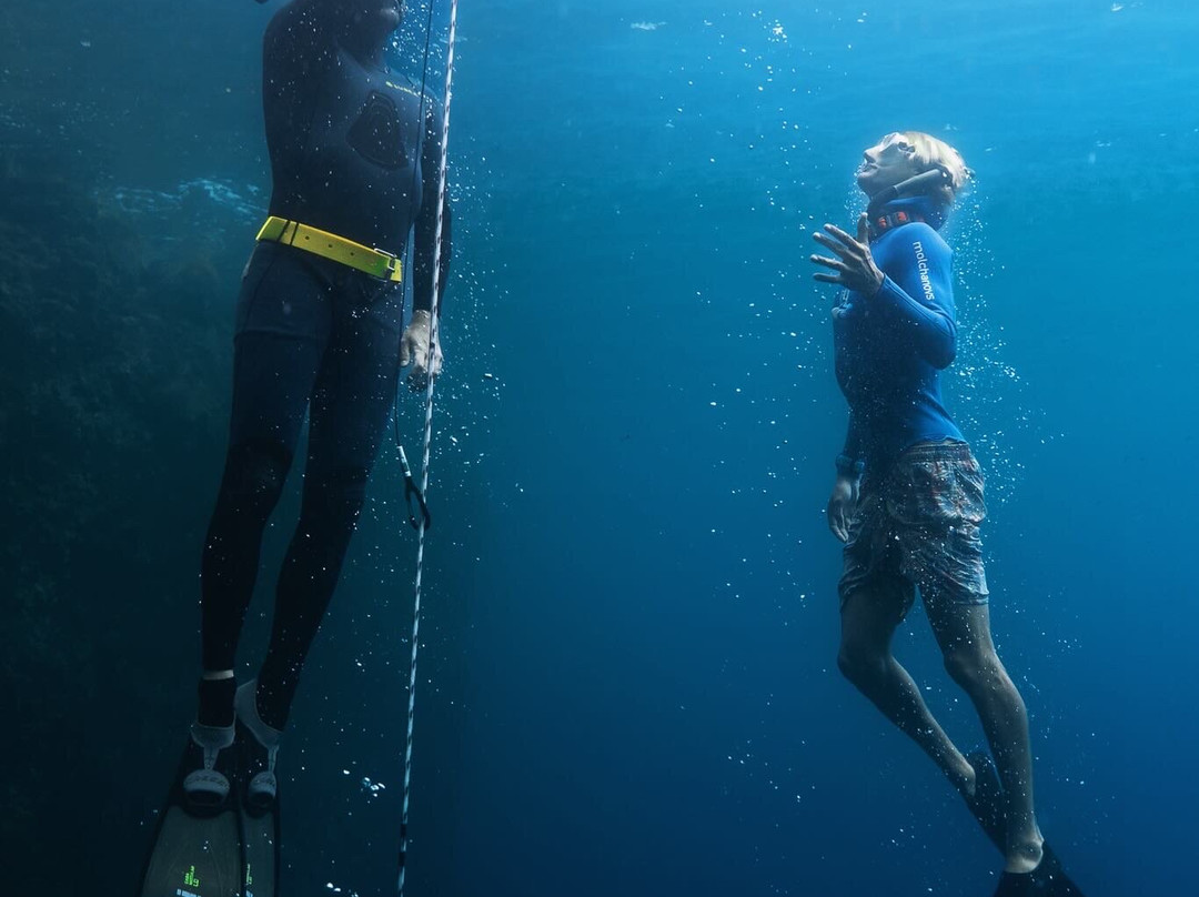 Deep Dominica Freediving-Soufriere必去景点