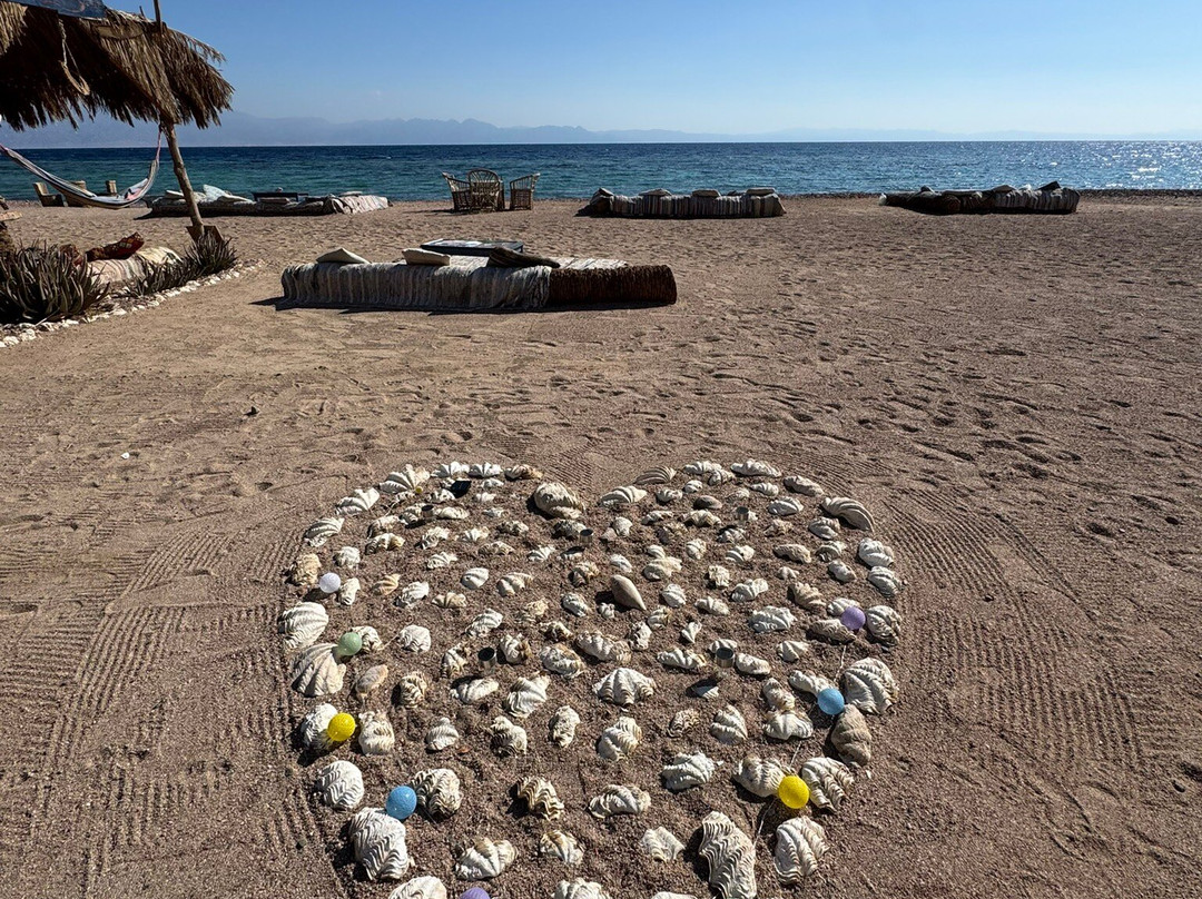 Desert Divers Dahab-达哈卜必去景点