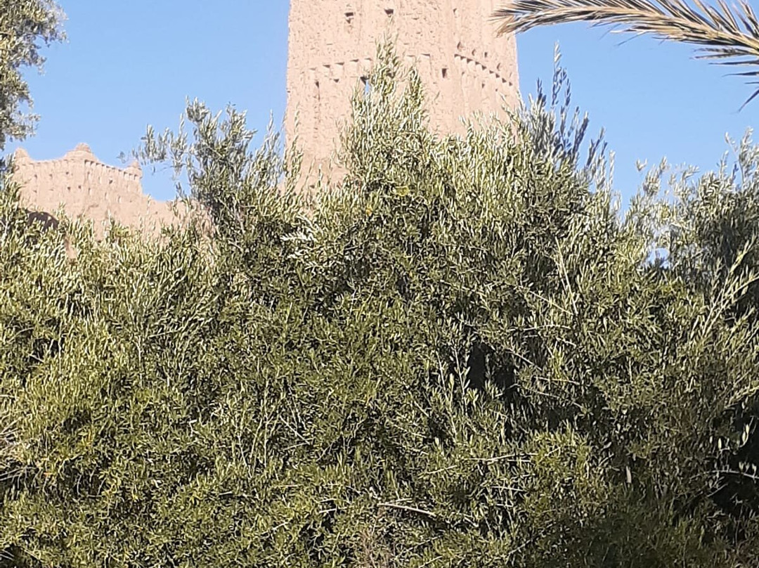 amrdouz SKOURA VTT excursions-Skoura必去景点