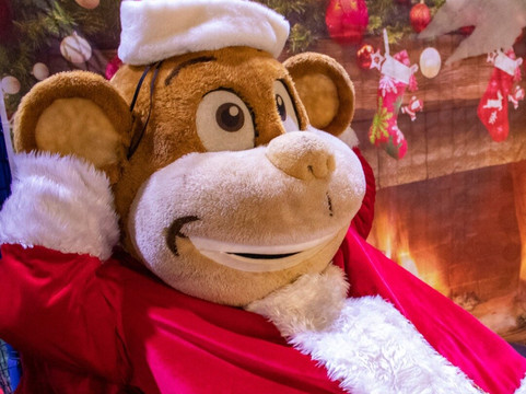 Little Monkeys-赫尔河畔金斯顿必去景点