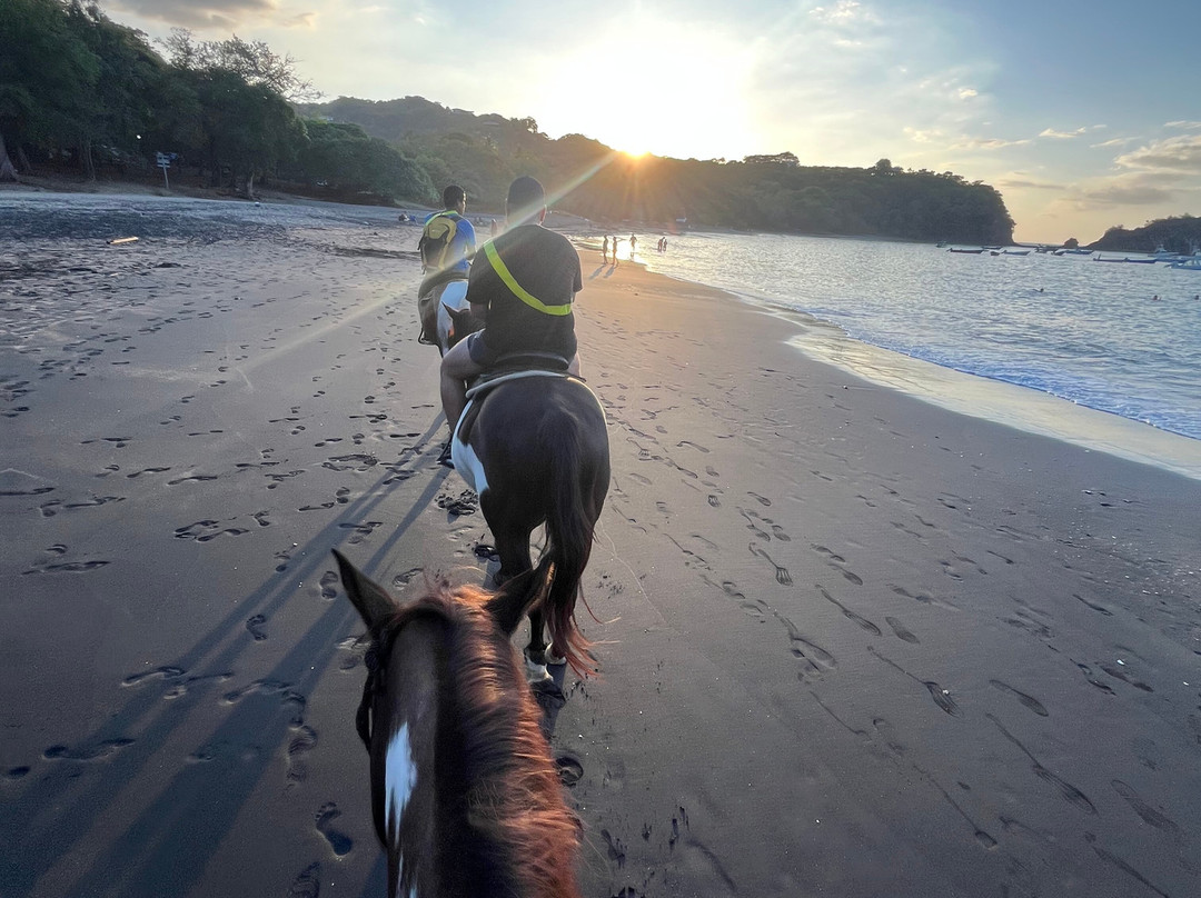 The Monkey Farm-Playa Ocotal必去景点