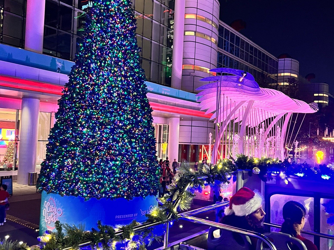 Houston City Tours-休斯顿必去景点