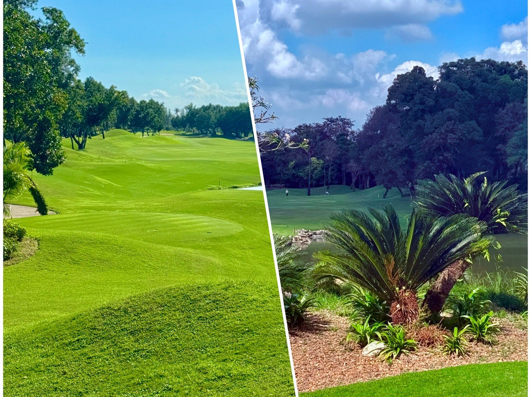 Alpine Golf Club-空銮必去景点