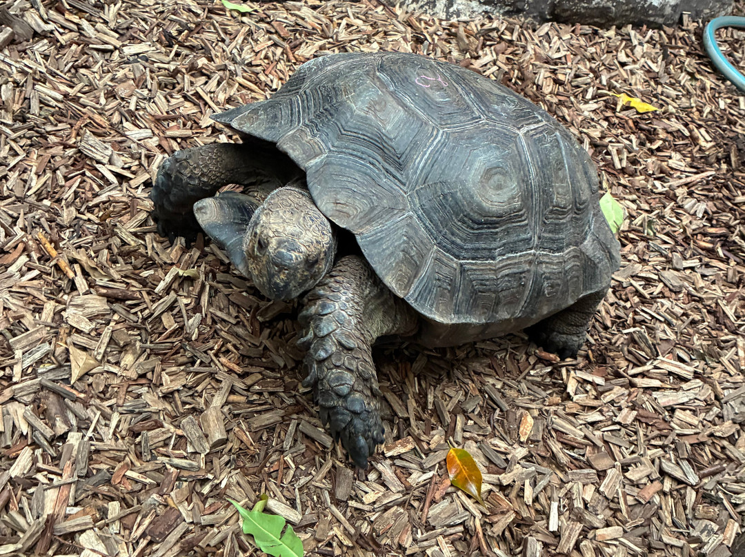 Krokodille Zoo-Eskilstrup必去景点