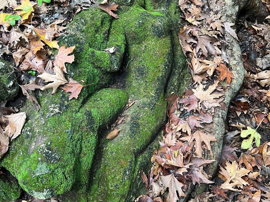 Neraidospilios Cave-Myrtia必去景点