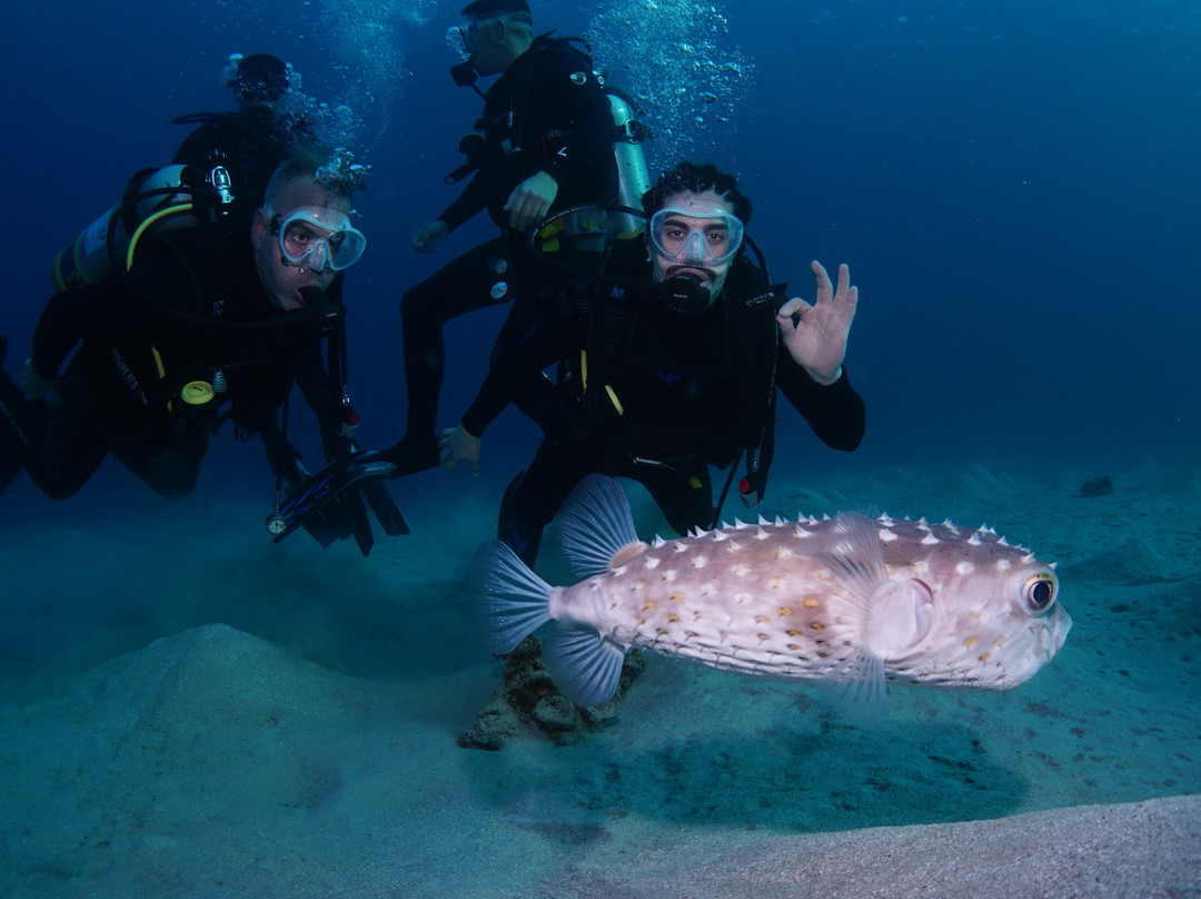 Nautilus Red Sea-埃拉特必去景点