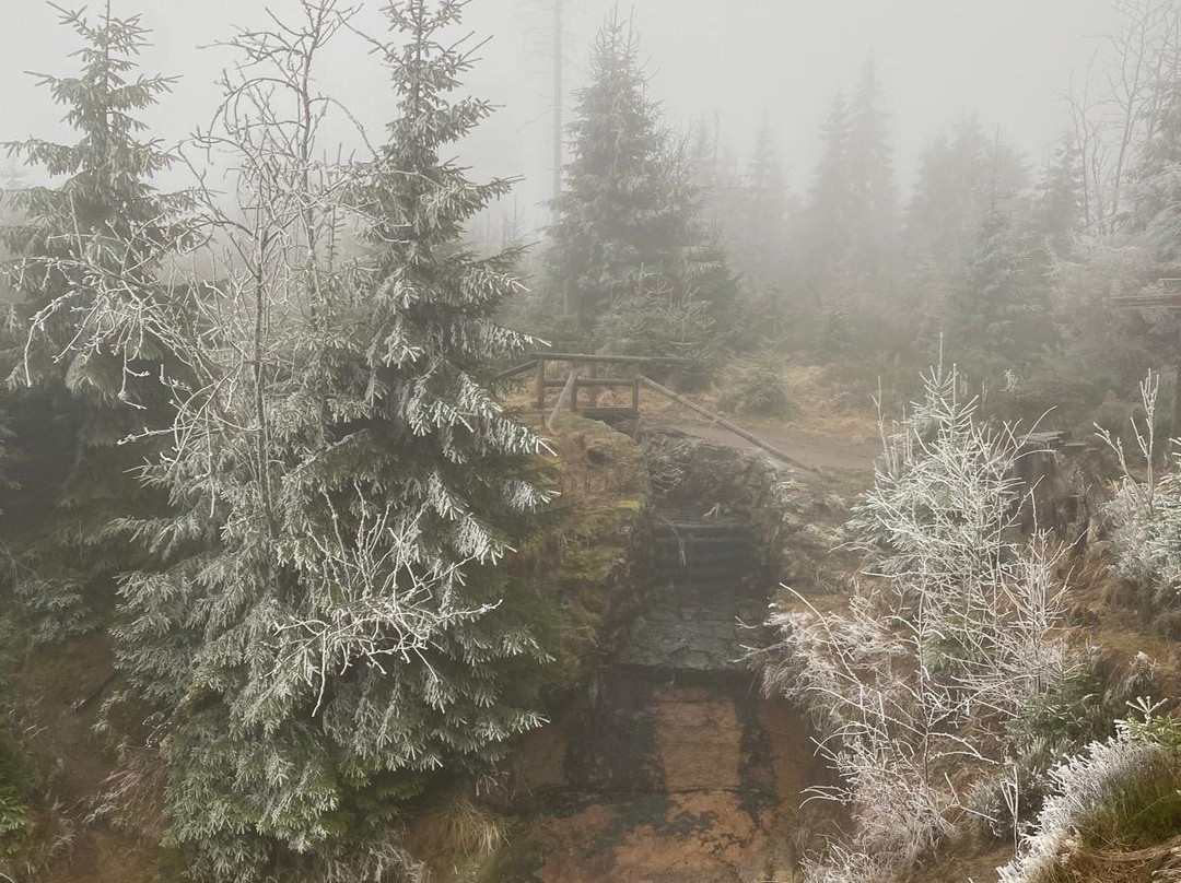 Oderteich-Sankt Andreasberg必去景点