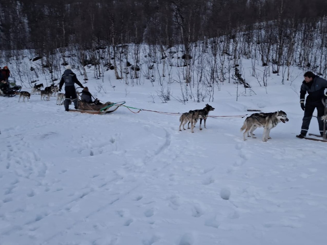 Nordland Adventures-博多必去景点