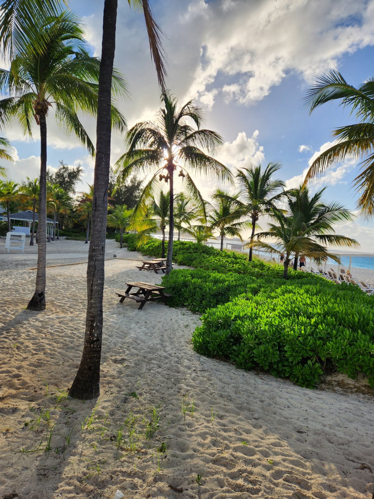 特克斯和凯科斯群岛地中海度假村-泳池