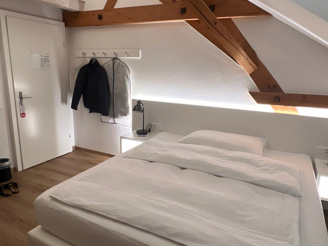 Hotel Schwanen主图