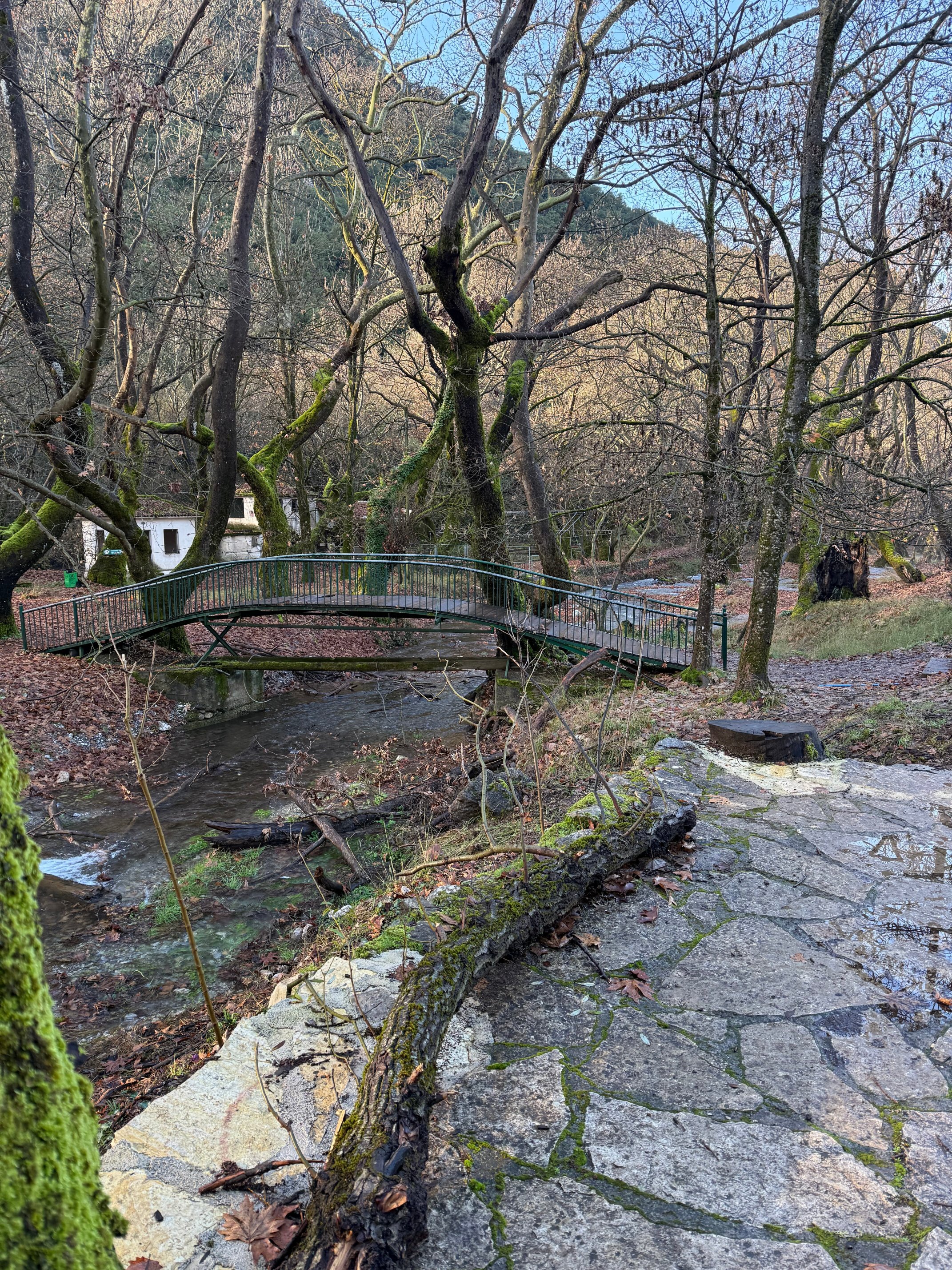 Mountain Hotels Aroanides-酒店景观