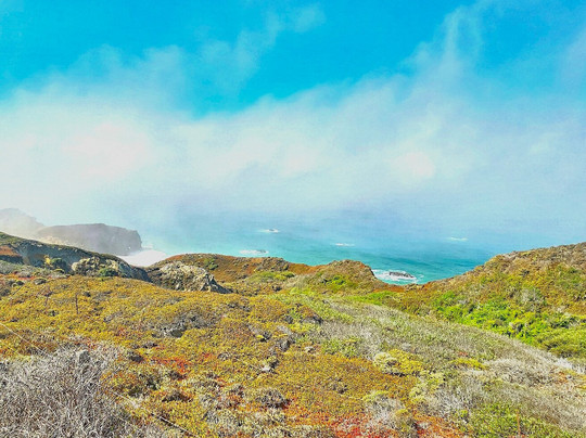 Highway 1 Road Trip-圣路易斯-奥比斯波必去景点