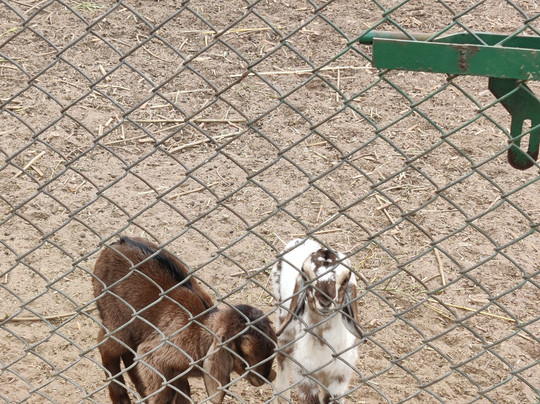 Karma Lakelands Golf Resort & Residences主图