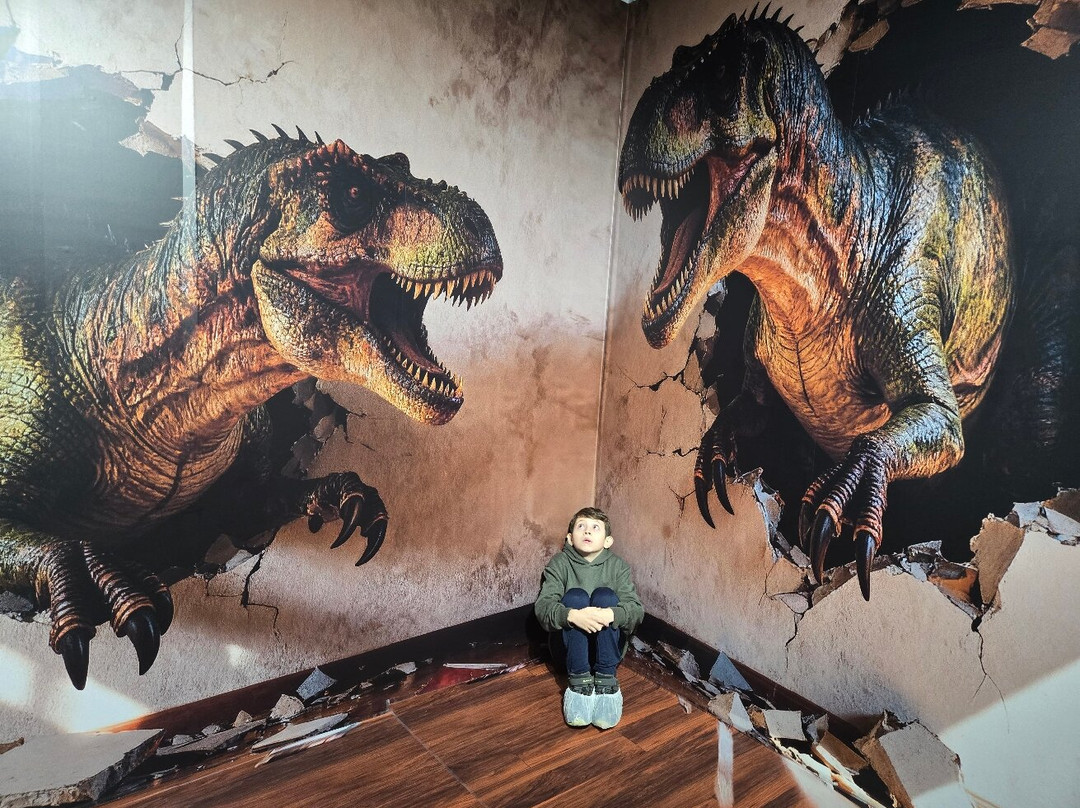 MiM - Muzeul Imaginației Maramureș