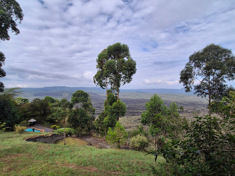 Ways of Africa-内罗毕必去景点