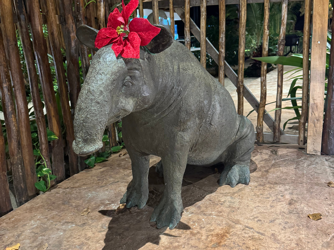 Totem Beach Club-塞莱斯顿必去景点