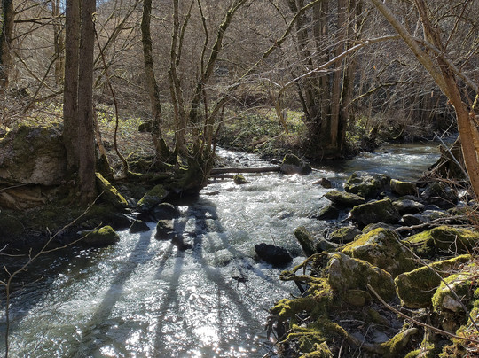 Hotel Paffhausen主图