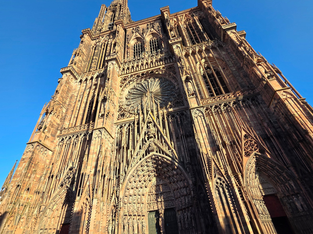 Hotel D'Alsace主图