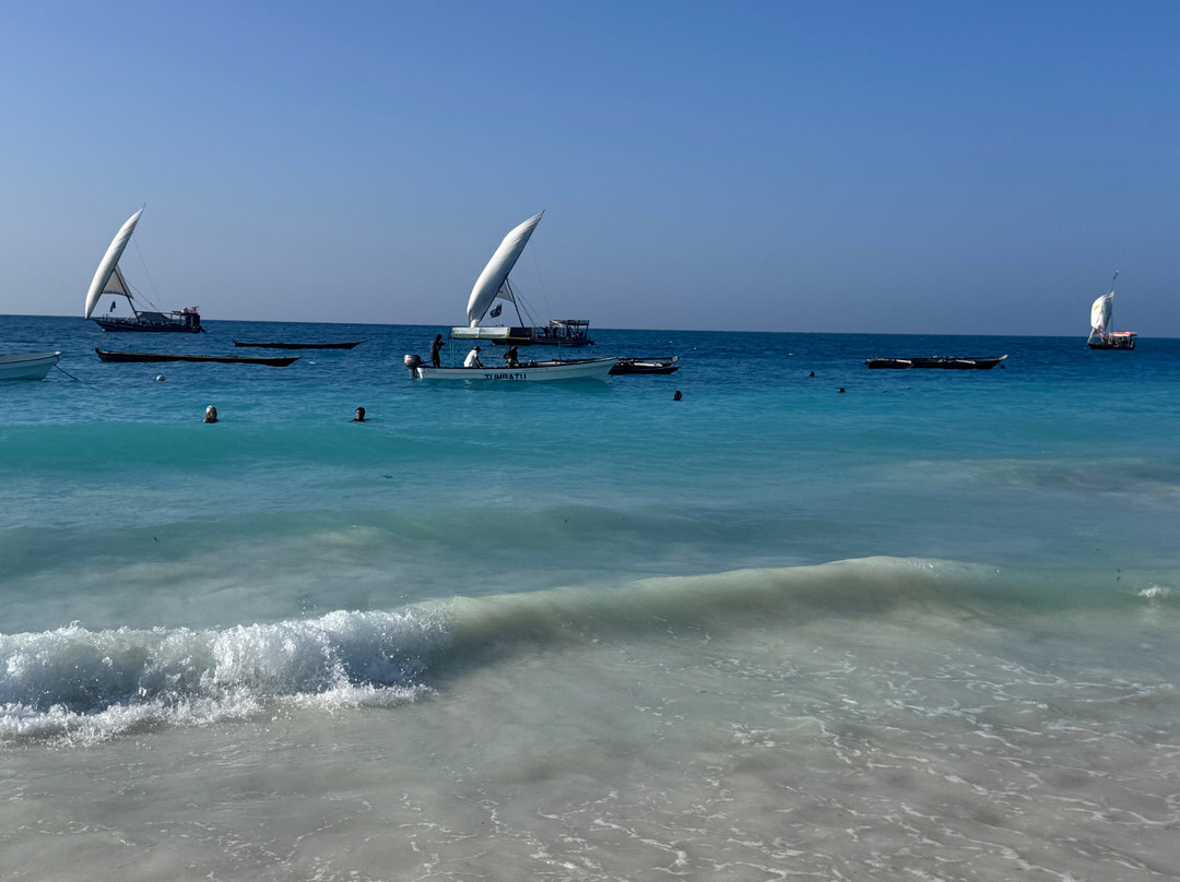 Dhow Beach Boutique Hotel