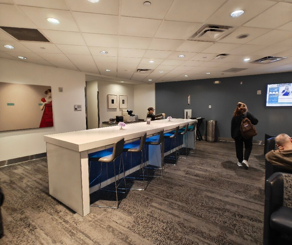 Delta Sky Club-阿灵顿必去景点