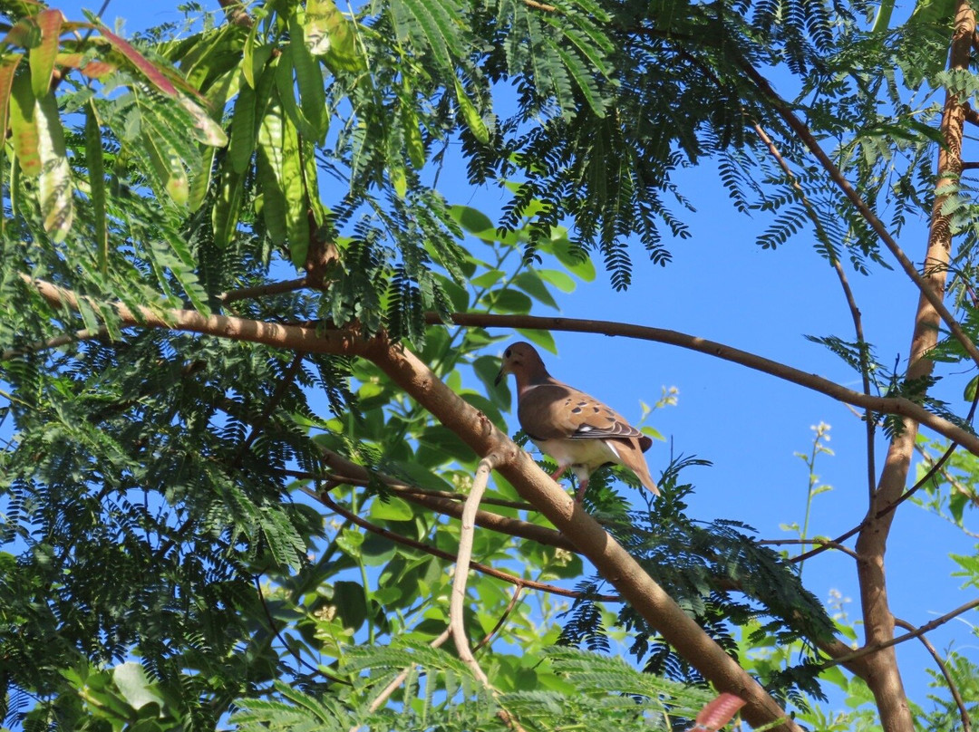 Walkers Reserve-布里奇顿必去景点