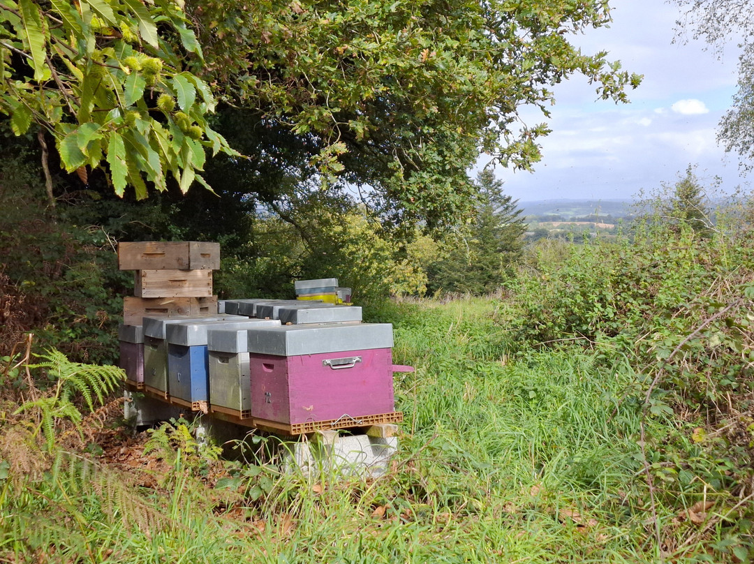 Circuit du Menhir à Berrien