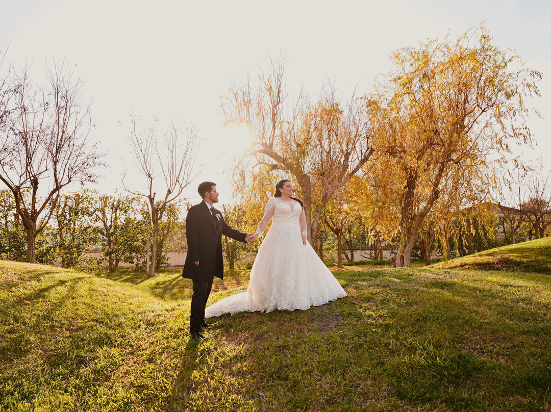 L'Araba Fenice Hotel & Resort主图