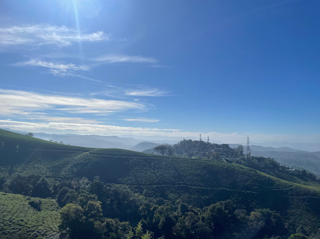 Parakkat Nature Hotels & Resorts