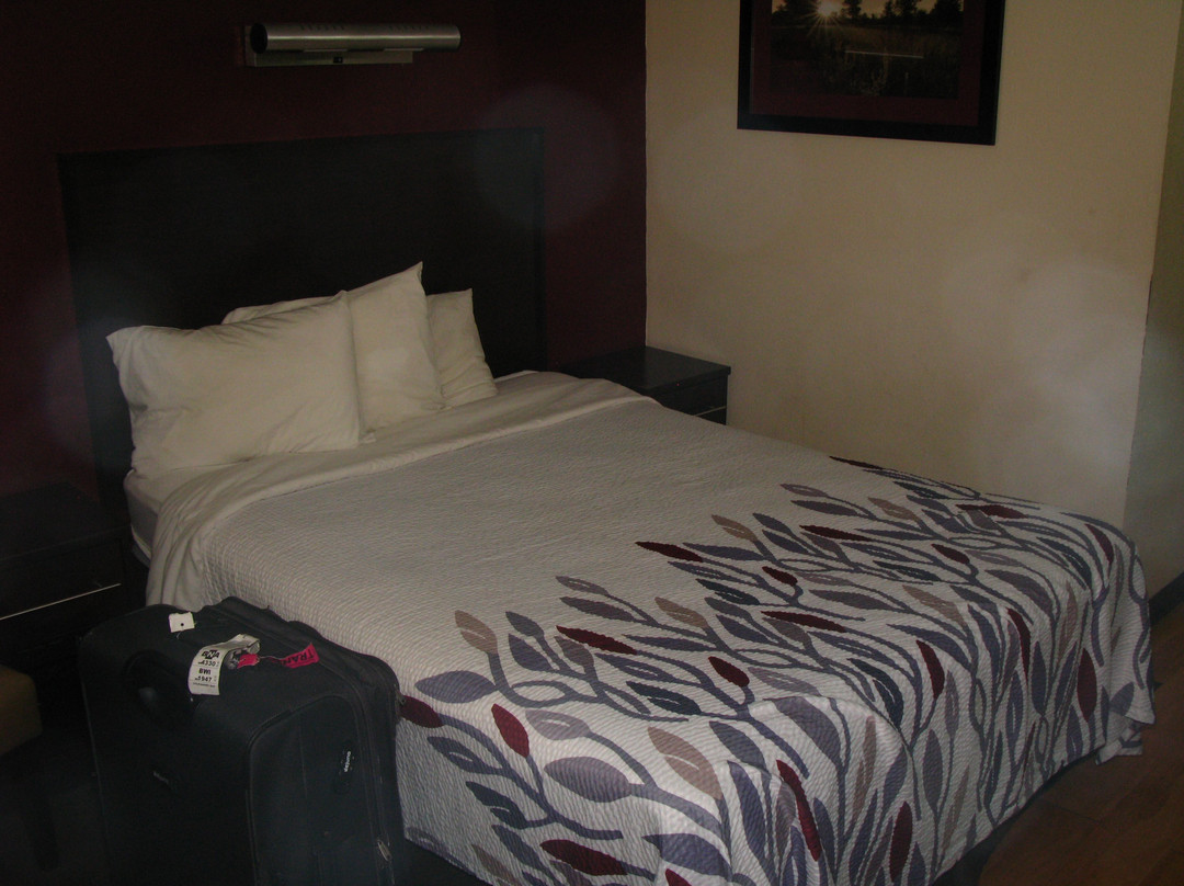 Red Roof Inn Cleveland - Medina主图