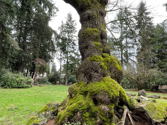 Rhododendron Park-Kenmore必去景点