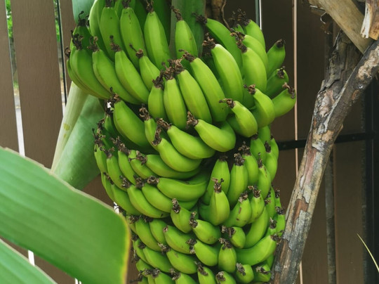 Tizardin-红地必去景点