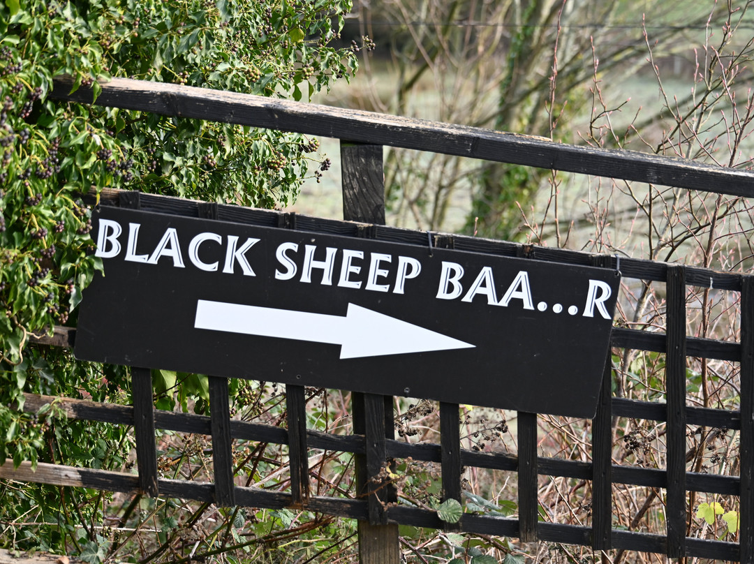 The Black Sheep Brewery-马沙姆必去景点