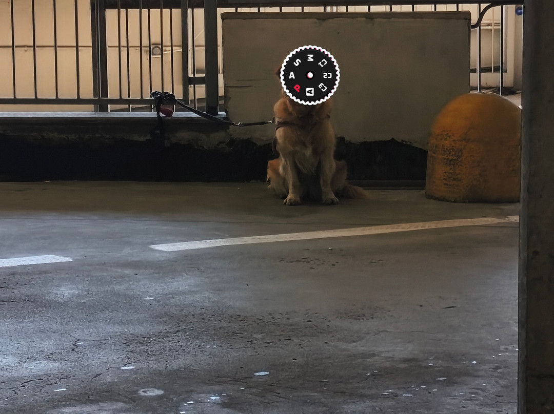 Gros Cidac-奥斯塔必去景点