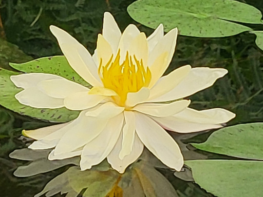 North Carolina Aquarium at Fort Fisher-Kure Beach必去景点
