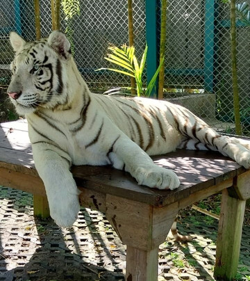 Maipreu-拉威必去景点