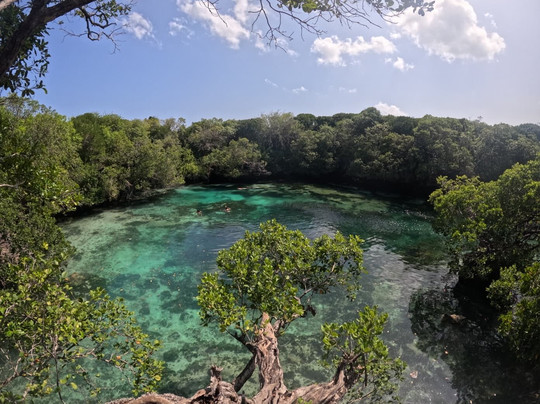 Safari Shwari Mafia Island-Utende必去景点