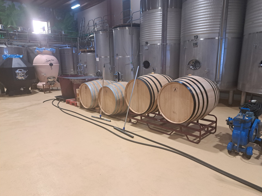 Bodega De Seron-Seron必去景点