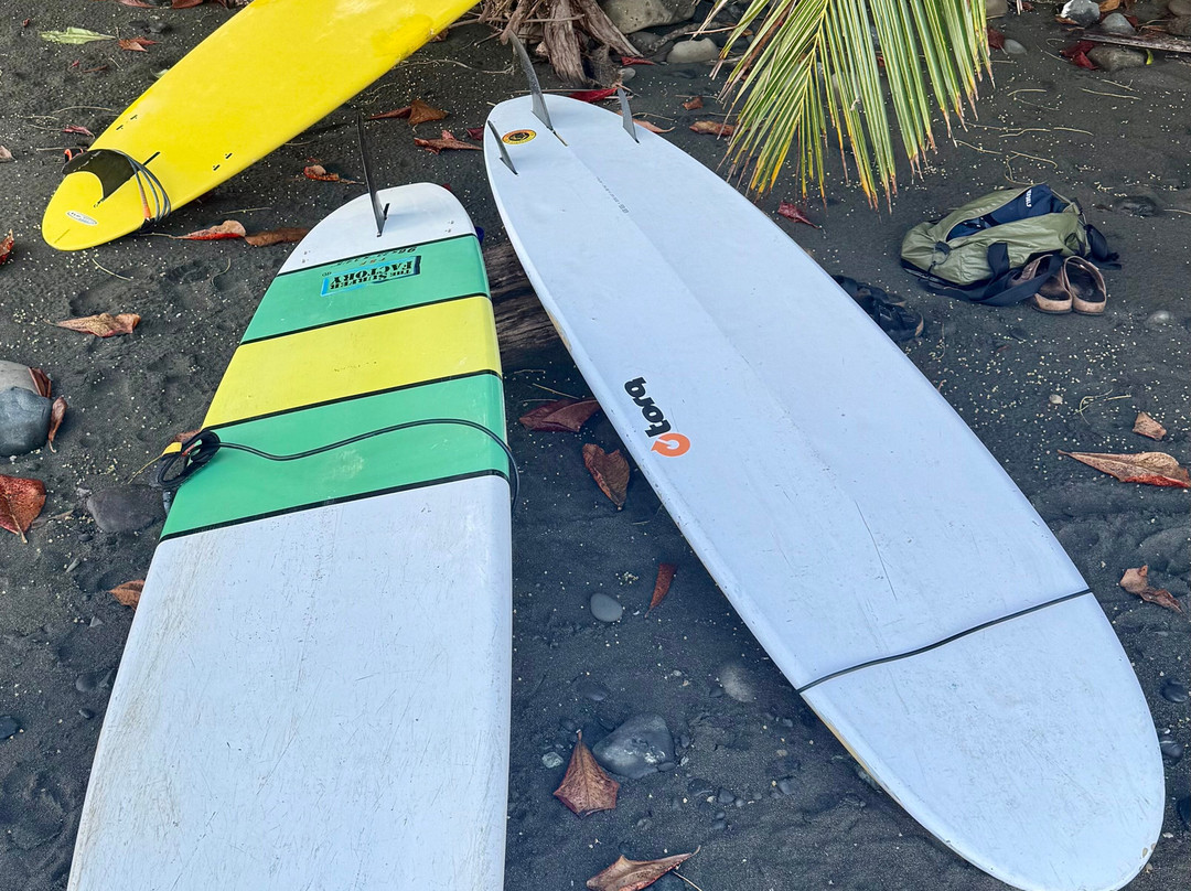 Surf Expedition-帕沃尼斯必去景点