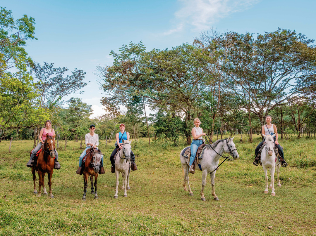 Franklin's Horseback Riding-波魁特必去景点